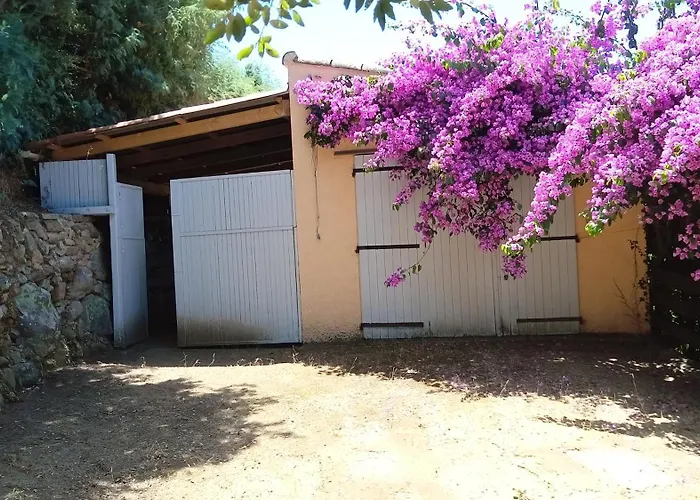 Vue Panoramique Tatil Evi Porticcio (Corsica)